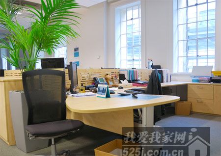 辦公室風(fēng)水布置