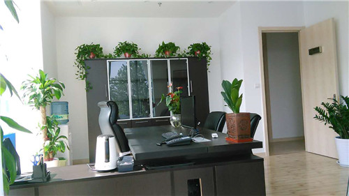 金鷹廣場(chǎng)