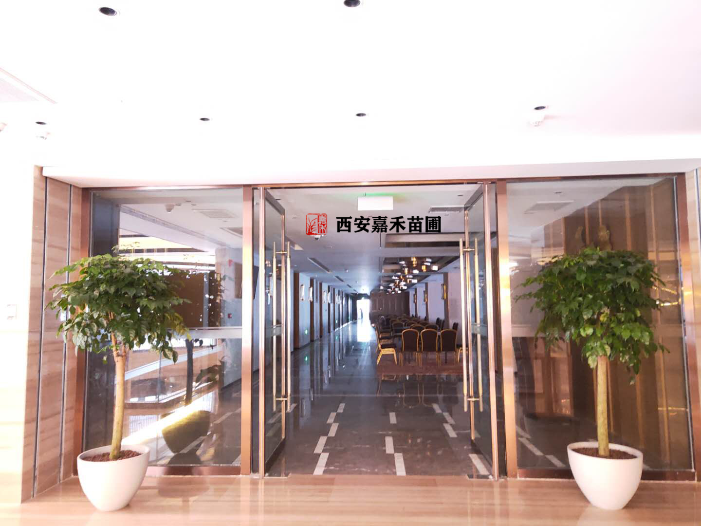 西安未央?yún)^(qū)綠植租擺公司