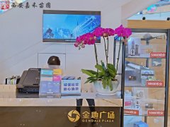 西安酒店大堂綠植租擺流程和常見(jiàn)問(wèn)題