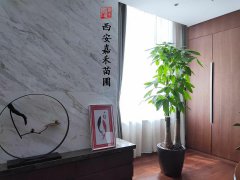 西安雁塔區(qū)的高端酒店綠植租擺怎么選擇，推薦