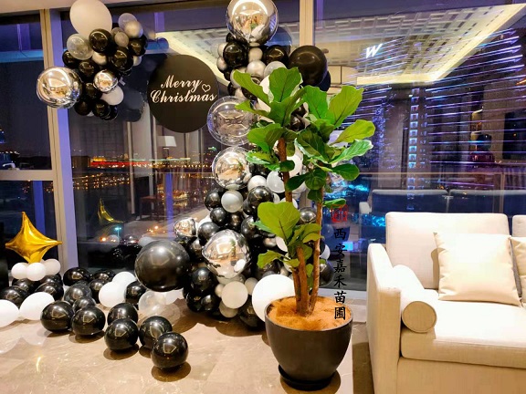 西安酒店綠植租賃|西安嘉禾苗圃