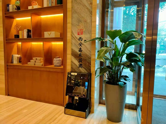 酒店綠植花卉出租|西安嘉禾苗圃