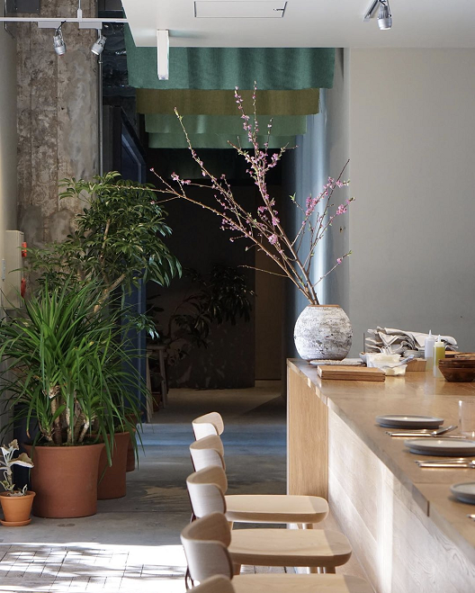 酒店前臺綠植租賃|西安嘉禾苗圃