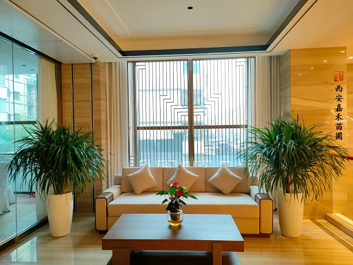 西安酒店綠植租賃|西安嘉禾苗圃